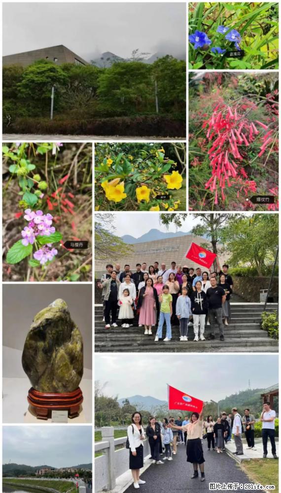 “粤灌文化 美好生活”油茶文化主题活动在广东深圳成功举办 - 郑州生活资讯 - 郑州28生活网 zz.28life.com
