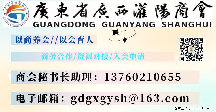“粤灌文化 美好生活”油茶文化主题活动在广东深圳成功举办 - 郑州生活资讯 - 郑州28生活网 zz.28life.com