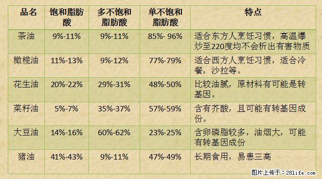 揭秘茶油的5大核心营养成分!被称为人体健康的“守护盾”! - 郑州生活资讯 - 郑州28生活网 zz.28life.com