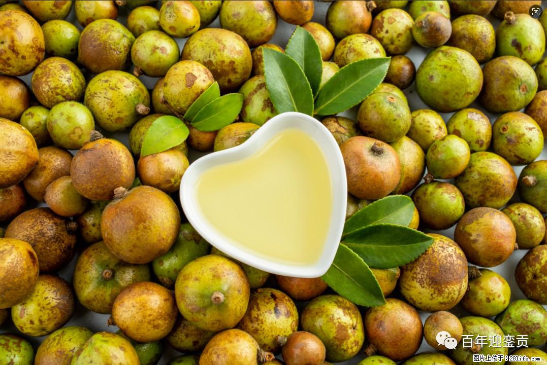 世界没有真相，只有认知，最好的食用油是中国的山茶油！ - 郑州生活资讯 - 郑州28生活网 zz.28life.com