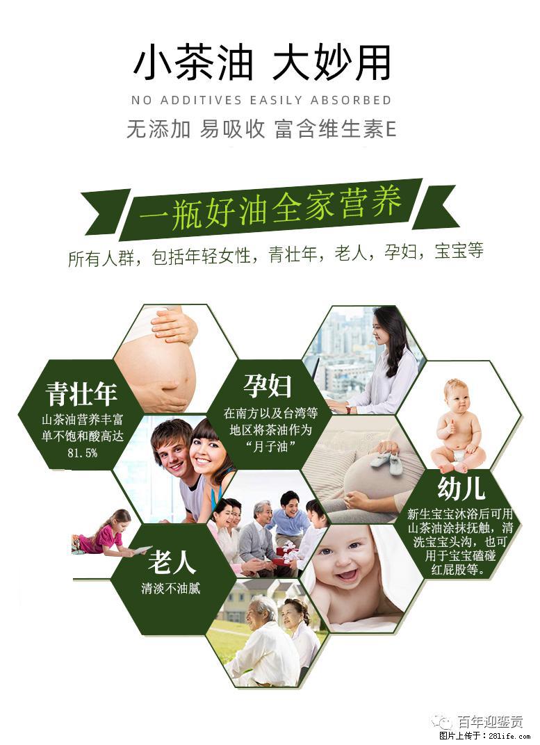 世界没有真相，只有认知，最好的食用油是中国的山茶油！ - 郑州生活资讯 - 郑州28生活网 zz.28life.com