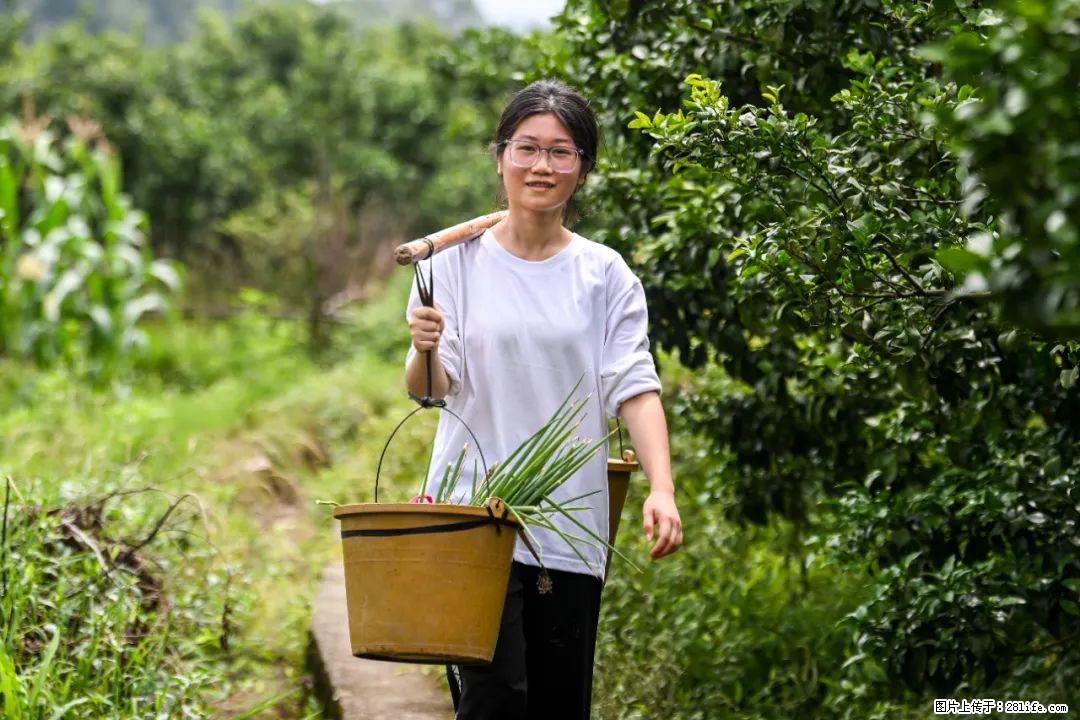 全网追的“扁担女孩”,找了一份暑假工,时薪12元 - 郑州生活资讯 - 郑州28生活网 zz.28life.com