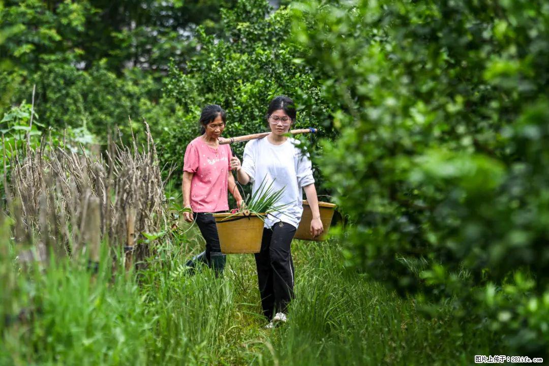 全网追的“扁担女孩”,找了一份暑假工,时薪12元 - 郑州生活资讯 - 郑州28生活网 zz.28life.com
