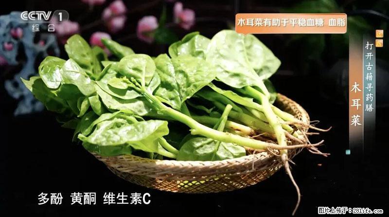 比牛奶补钙还厉害！凉血解毒、稳血糖...这菜冬天必吃，很多人却当草 - 郑州生活资讯 - 郑州28生活网 zz.28life.com