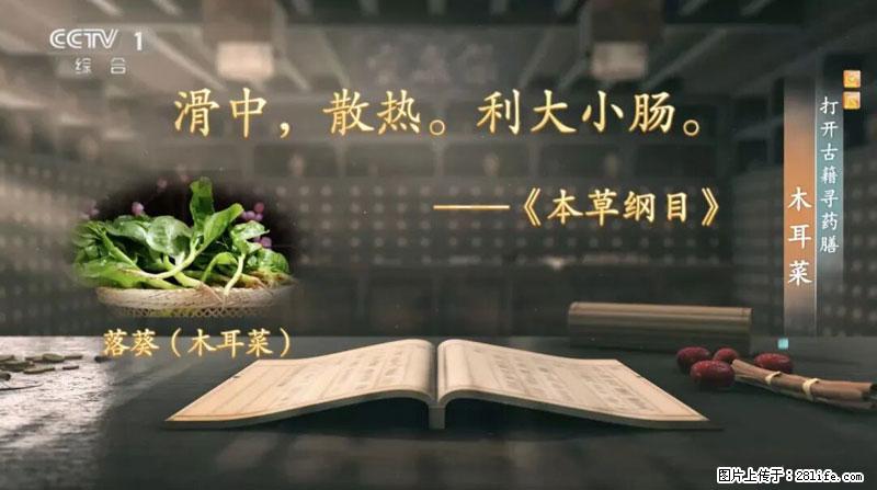 比牛奶补钙还厉害！凉血解毒、稳血糖...这菜冬天必吃，很多人却当草 - 郑州生活资讯 - 郑州28生活网 zz.28life.com