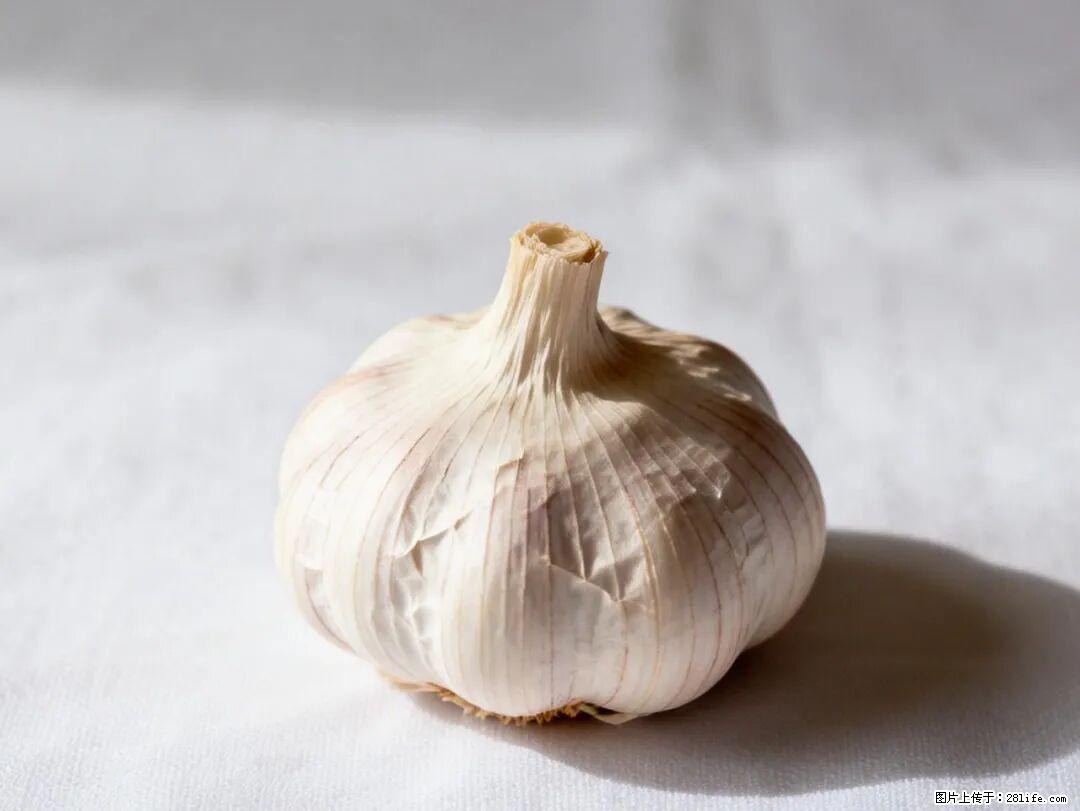 关于大蒜，除了“天然抗生素”，这4个谣言更该警惕! - 郑州生活资讯 - 郑州28生活网 zz.28life.com