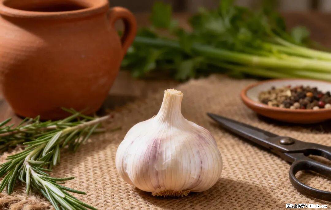关于大蒜，除了“天然抗生素”，这4个谣言更该警惕! - 郑州生活资讯 - 郑州28生活网 zz.28life.com
