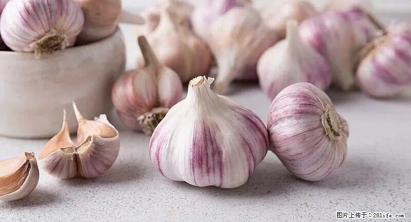 抗菌消炎、护肝健脾！这种“天然青霉素”就在你家餐桌上，春季吃正合适 - 郑州生活资讯 - 郑州28生活网 zz.28life.com