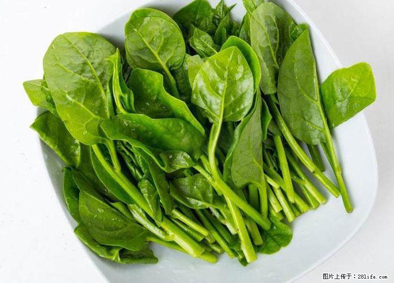 这些蔬菜是“天然钙片”，这6种被医生重点推荐 - 郑州生活资讯 - 郑州28生活网 zz.28life.com