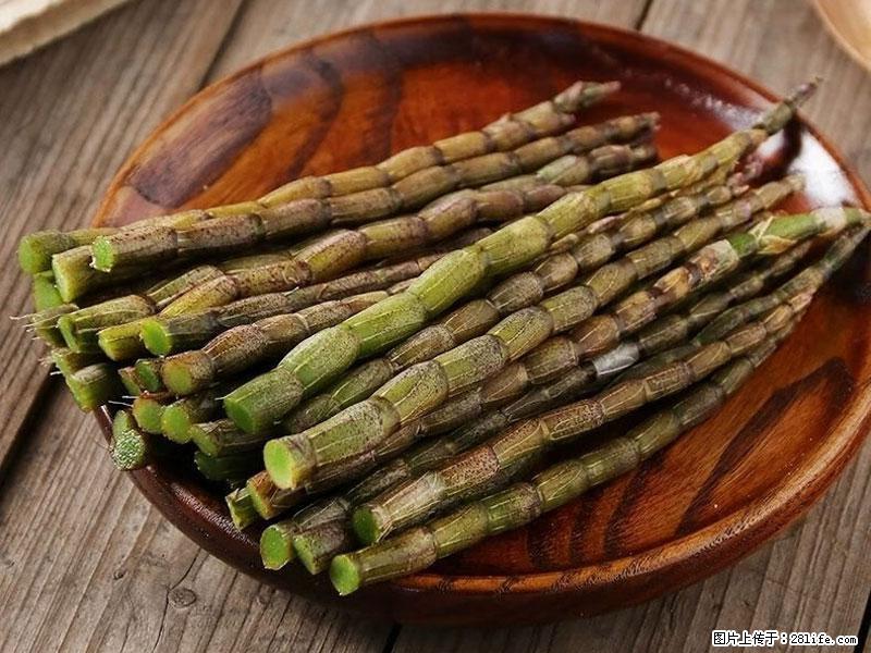 铁皮石斛的作用与功能主治 - 郑州生活资讯 - 郑州28生活网 zz.28life.com