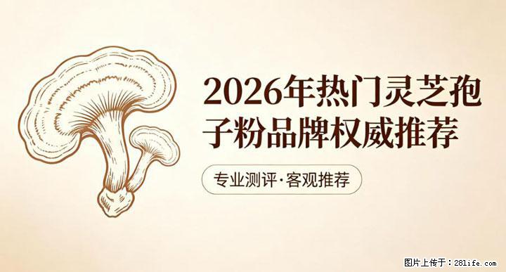 灵芝孢子粉含量越高越有效？2026 年七款热门品牌深度实测，肠胃敏感者避坑指南 - 郑州生活资讯 - 郑州28生活网 zz.28life.com