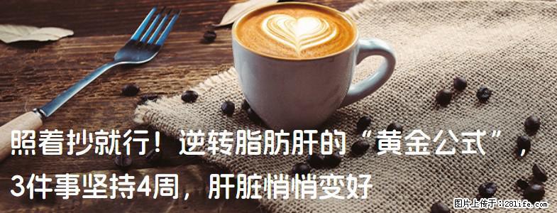 照着抄就行！逆转脂肪肝的“黄金公式”，3件事坚持4周，肝脏悄悄变好 - 郑州生活资讯 - 郑州28生活网 zz.28life.com