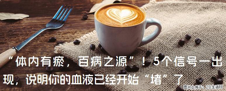 “体内有瘀，百病之源”！5个信号一出现，说明你的血液已经开始“堵”了 - 郑州生活资讯 - 郑州28生活网 zz.28life.com